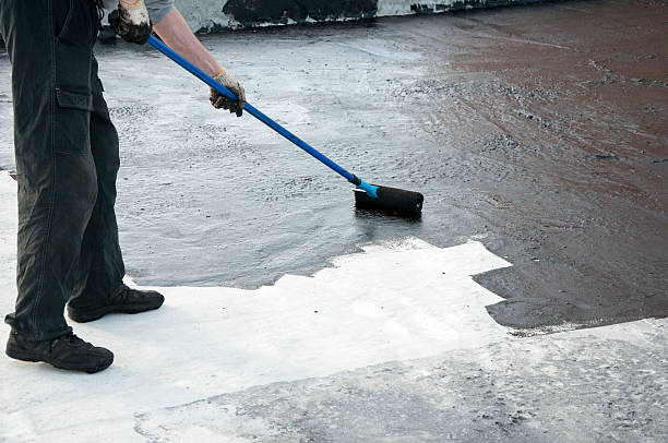 Best Concrete Leveling Services  in Shelbina, MO